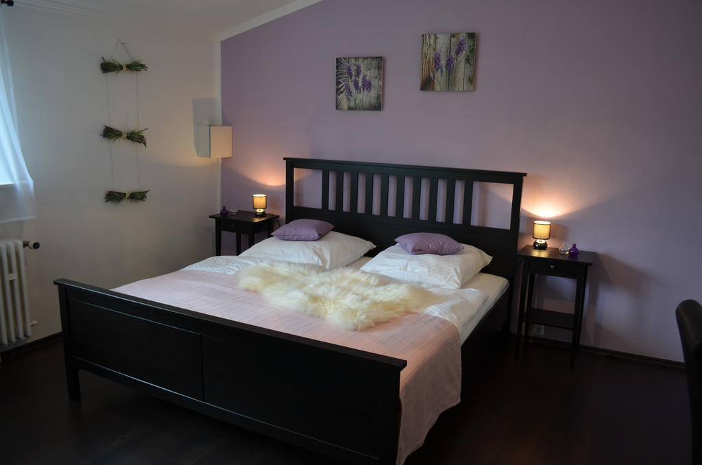 Wolfschlucht Hotel Rodgau Room photo